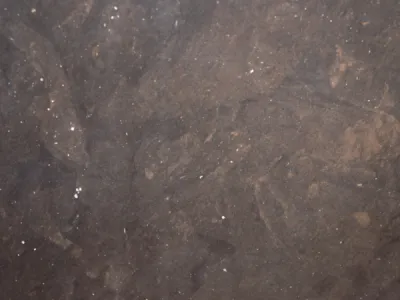 Kaesar Brown marbre marron