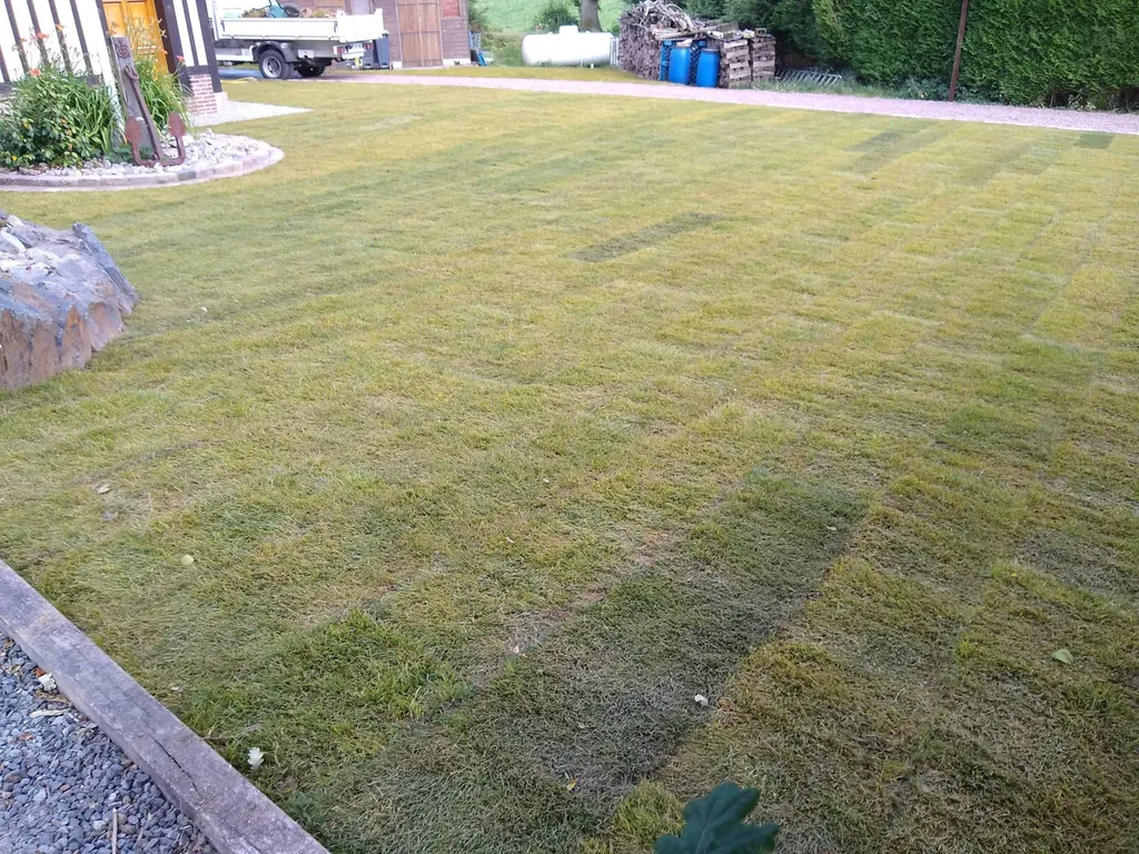 Réalisation d’une pelouse en gazon de placage à Manneville-la-Goupil