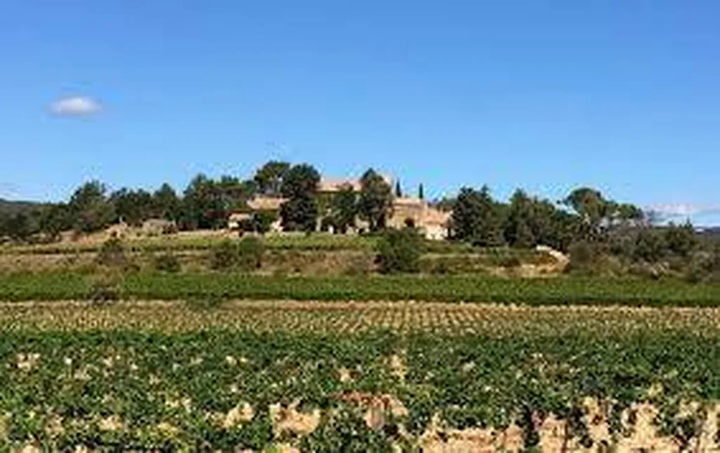 Vignoble de Minerve a 1h de Vias-plage station balnéaire
