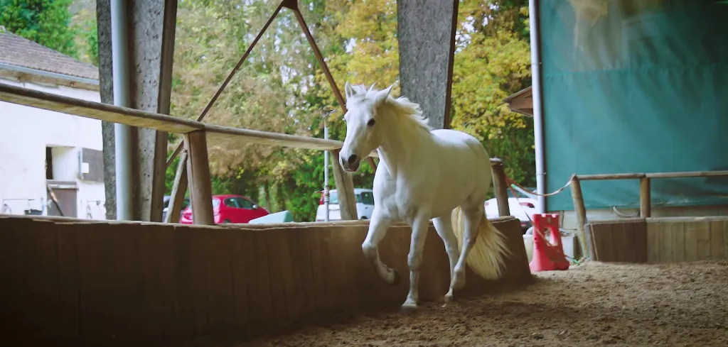 Réalisation d'un spot promotionnel pour Hervé Franchesci, Les Carnets d'Eveil, à Fontainebleau