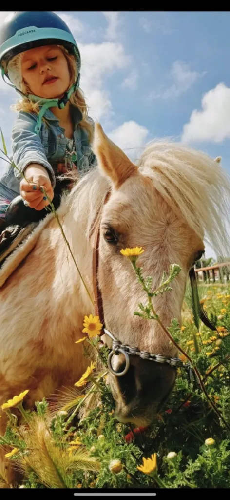 balade pour enfant en petit poney sur le Grau du Roi proche de L'espiguette