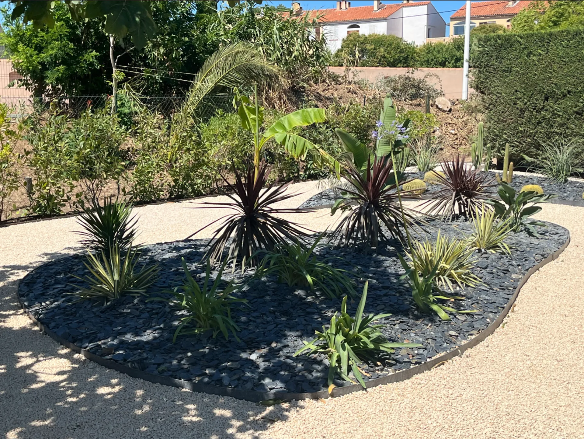 créer jardin sans arrosage dans le Var près de Saint Cyr