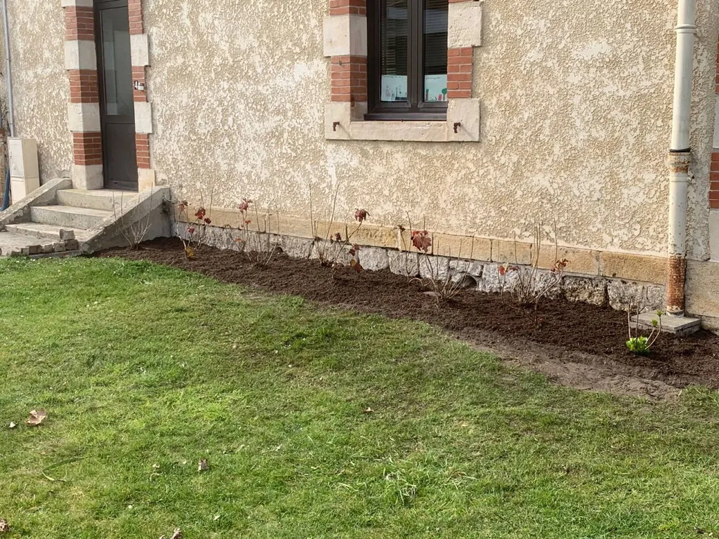 Comment embellir vos extérieurs avec des arbres et arbustes fleuris ? Découvrez le paysagiste à Parentis-en-Born