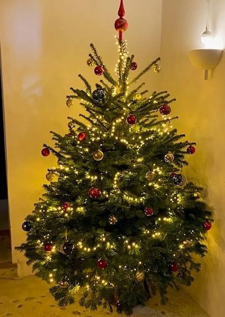 Christmas decoration in Provence