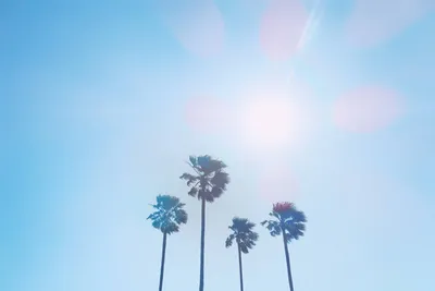 Mariage en été : chaleur