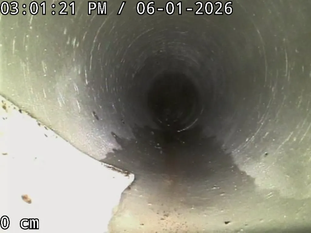 Fraisage de canalisation d'eaux pluviales à Sorgues (84) 50 mètres linéaires traités et une racine de 3,5 mètres extraite