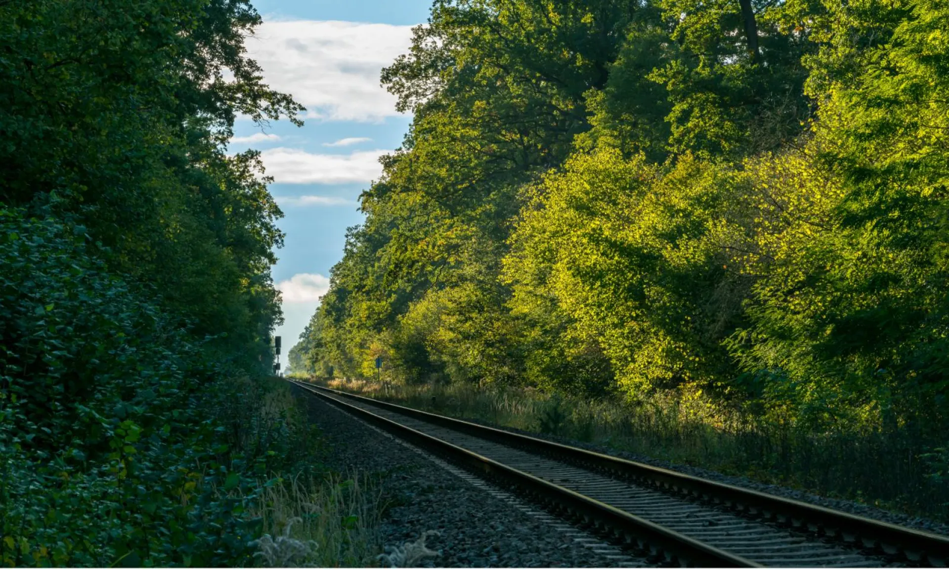 Travaux de debroussaillage SNCF dans le Vaucluse