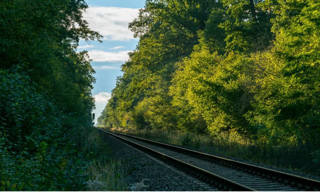 Travaux de debroussaillage SNCF dans le Vaucluse