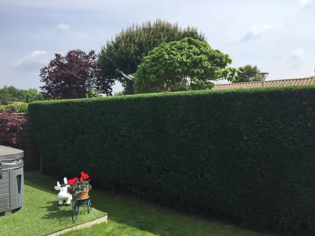 Professionnel de jardinage pour la taille de haie sur une propriété située près d’Ychoux