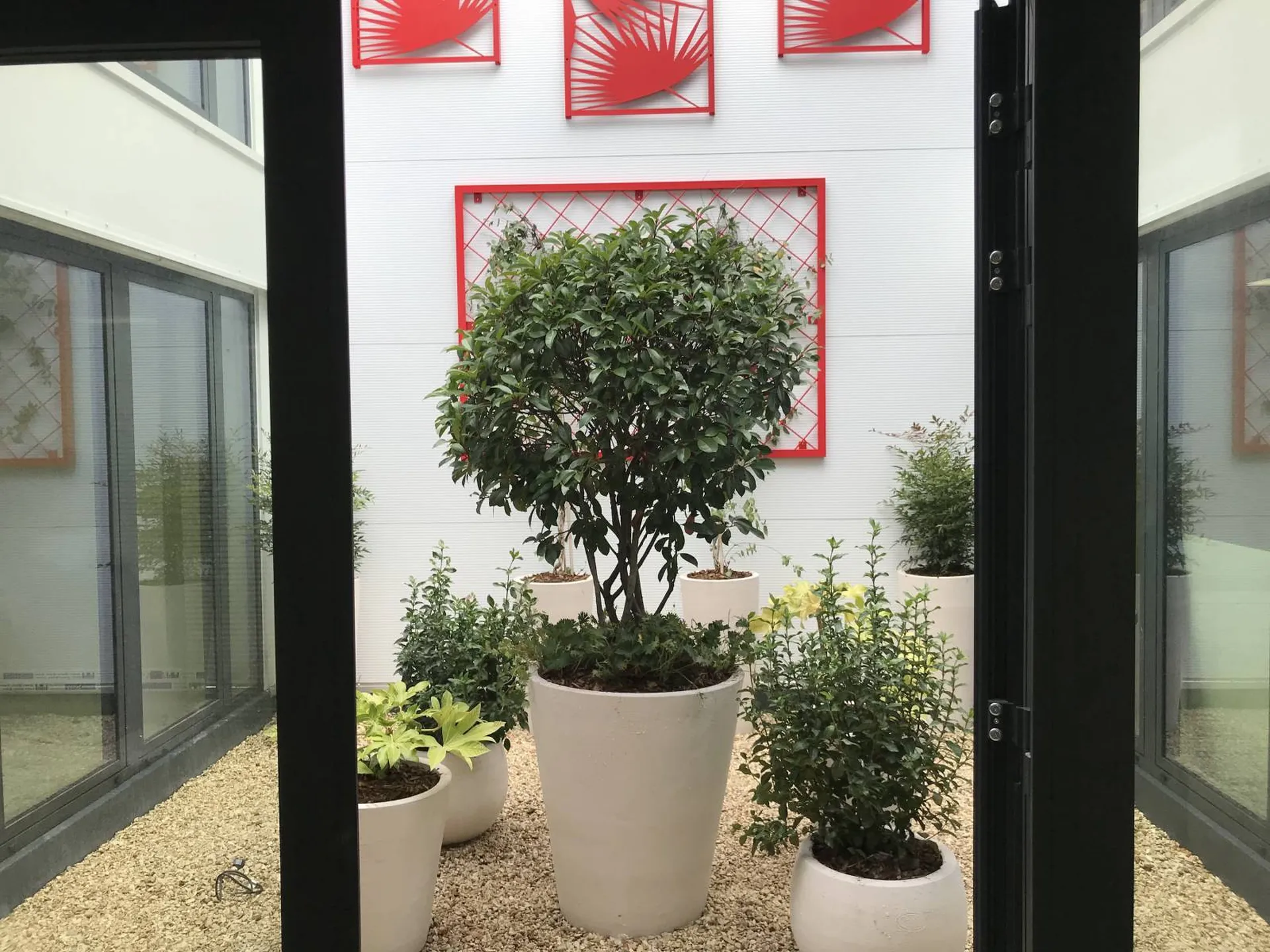 Création de jardin intérieur pour bureaux à Avignon 84000, pour un aménagement paysager inspirant et fonctionnel dans votre espace de travail