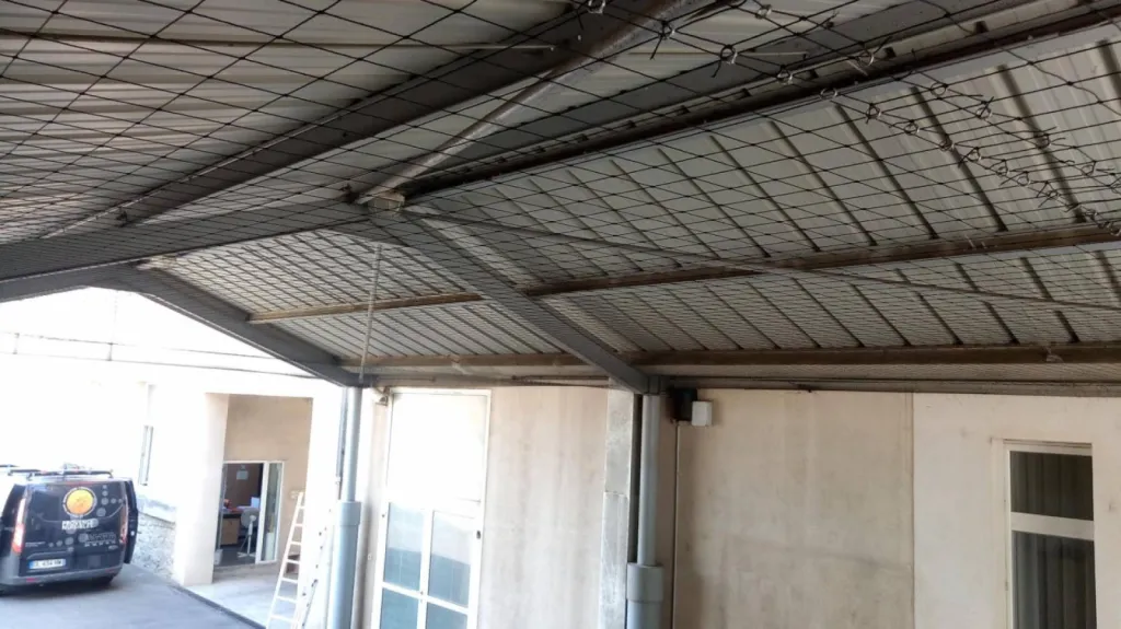 Notre zone d'activité pour ce serviceSociété de dépigeonnage