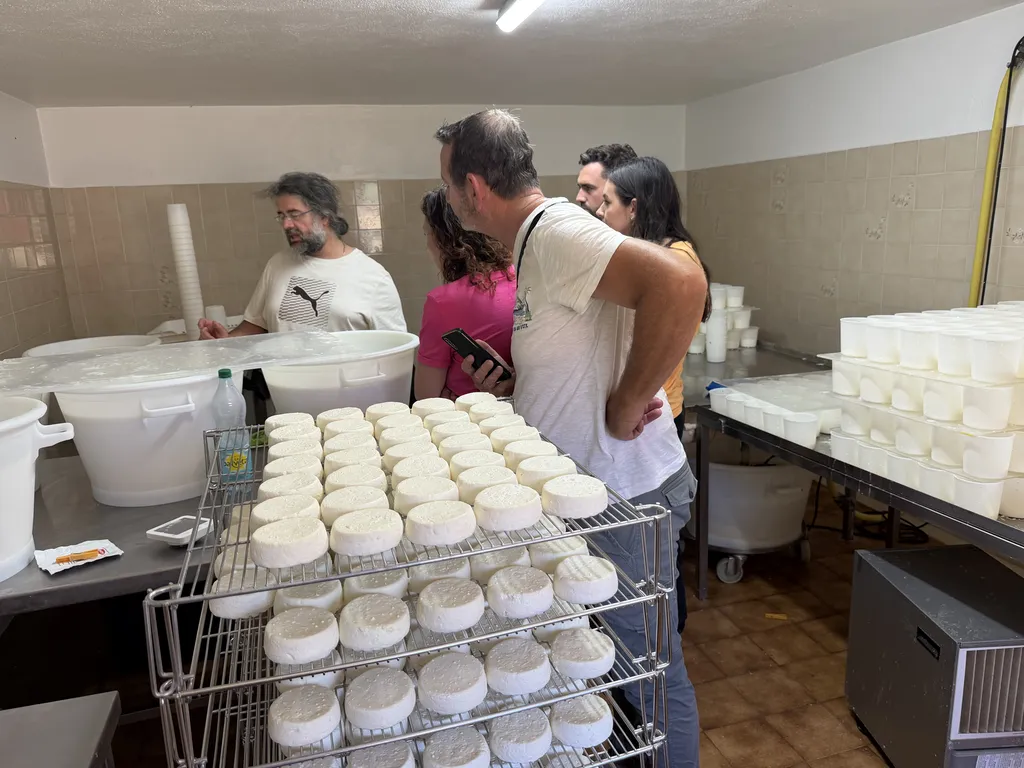 Randonnée en quad et visite de BERGERIE avec dégustation de fromage de chèvre au pied de la Sainte-Baume près d'Aubagne