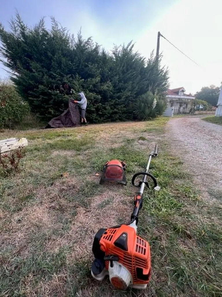 Jardinier professionnel pour rabattre une haie de cyprès à Gastes