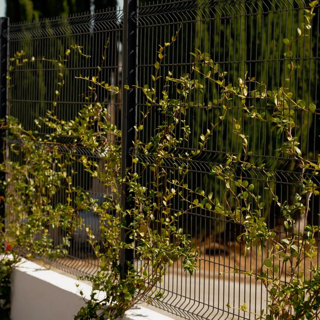 Création de jardin méditerranéen à Éguilles