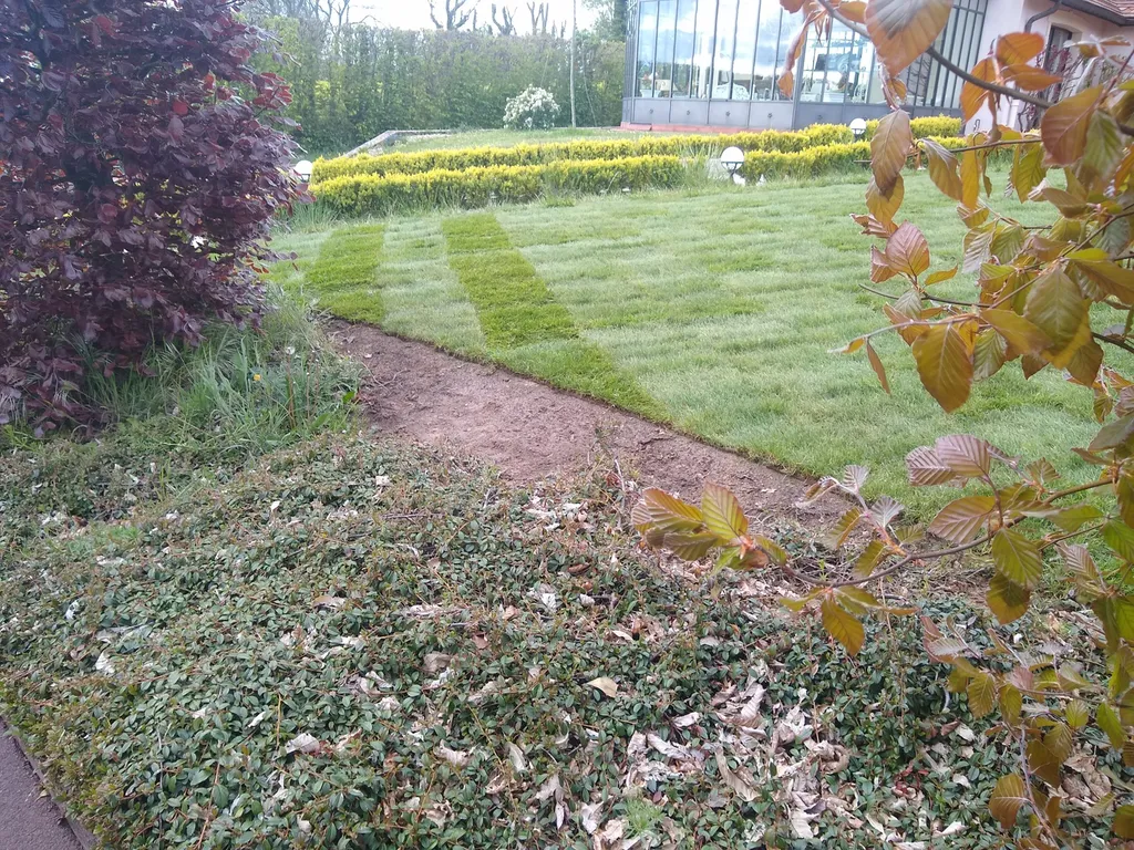 Pose de gazon de placage à Beaurepaire (76280)