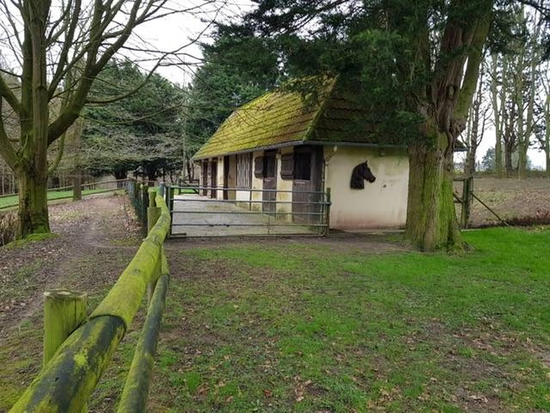 Idéale pour vos chevaux