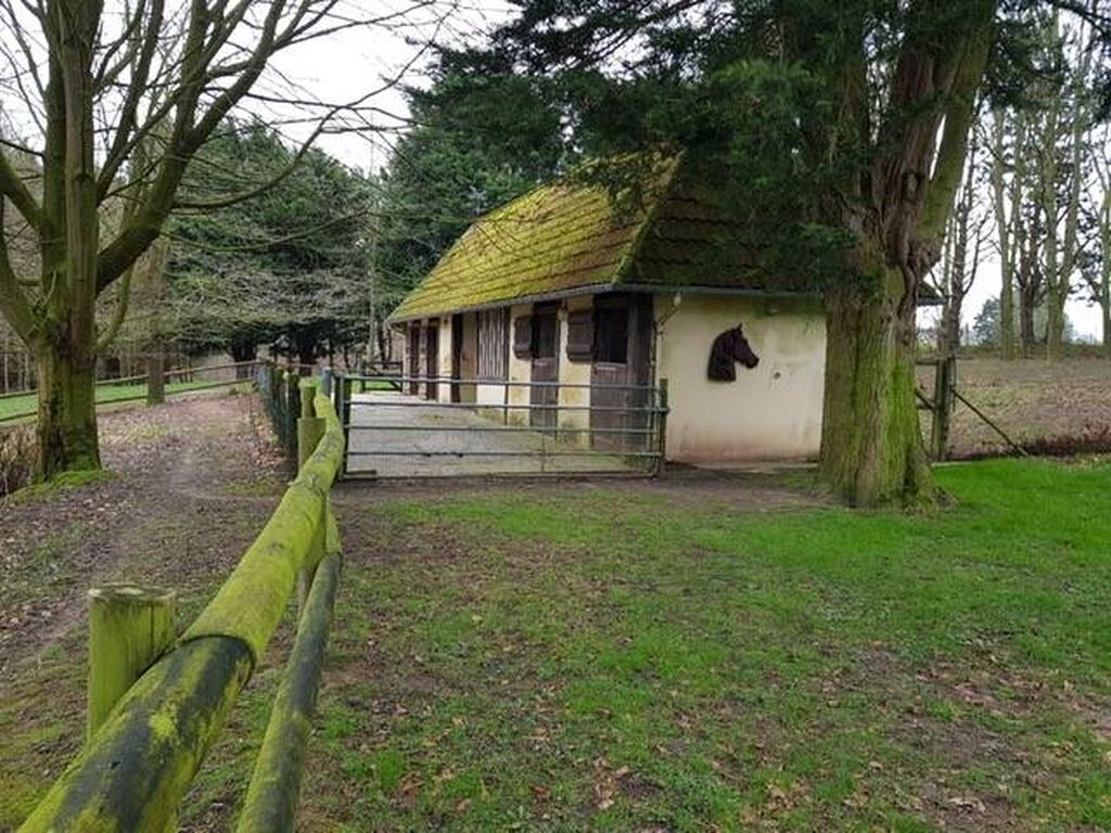 Idéale pour vos chevaux