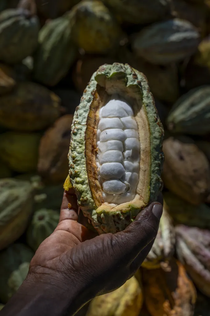 La Plantation Terrakoa, au cœur du Sambirano