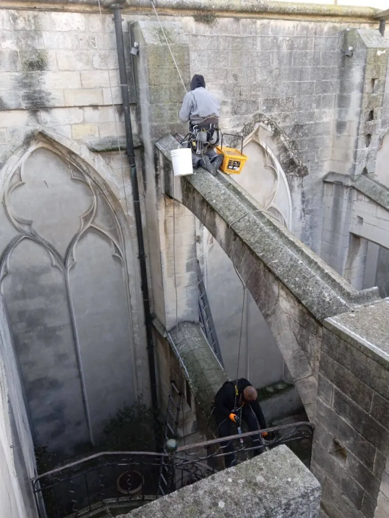 système contre les pigeons Marseille 13006