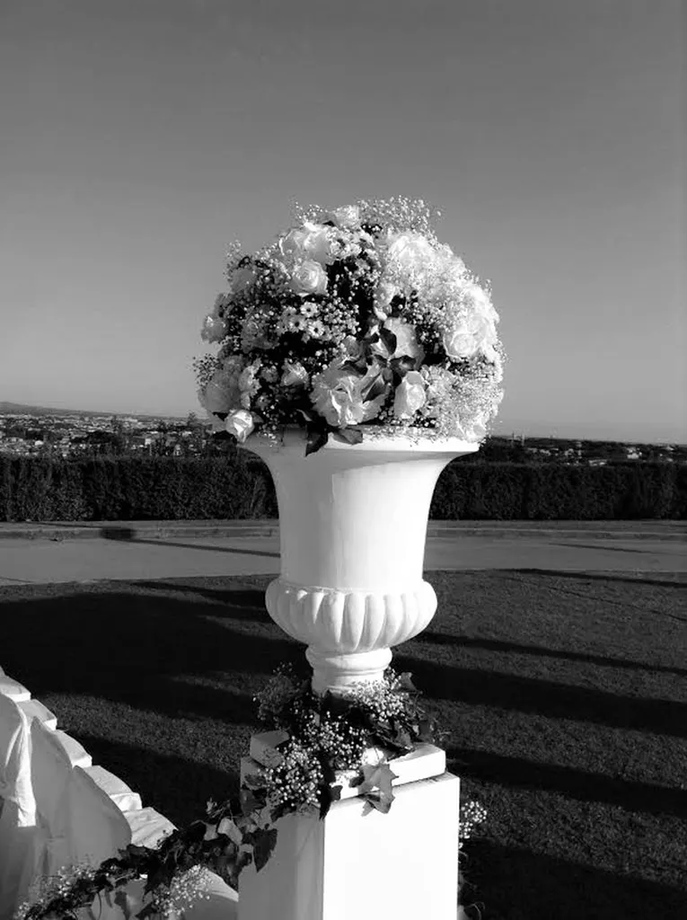 Mariage Médicis