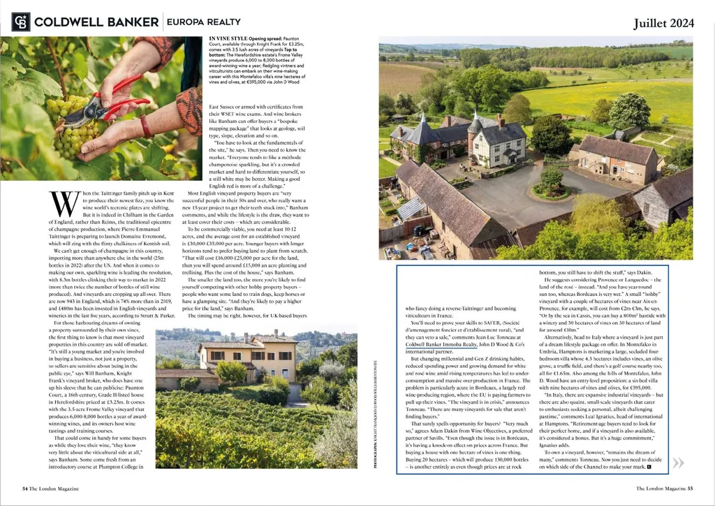 Châteaux, hôtel particulier à vendre au Mans et en Sarthe