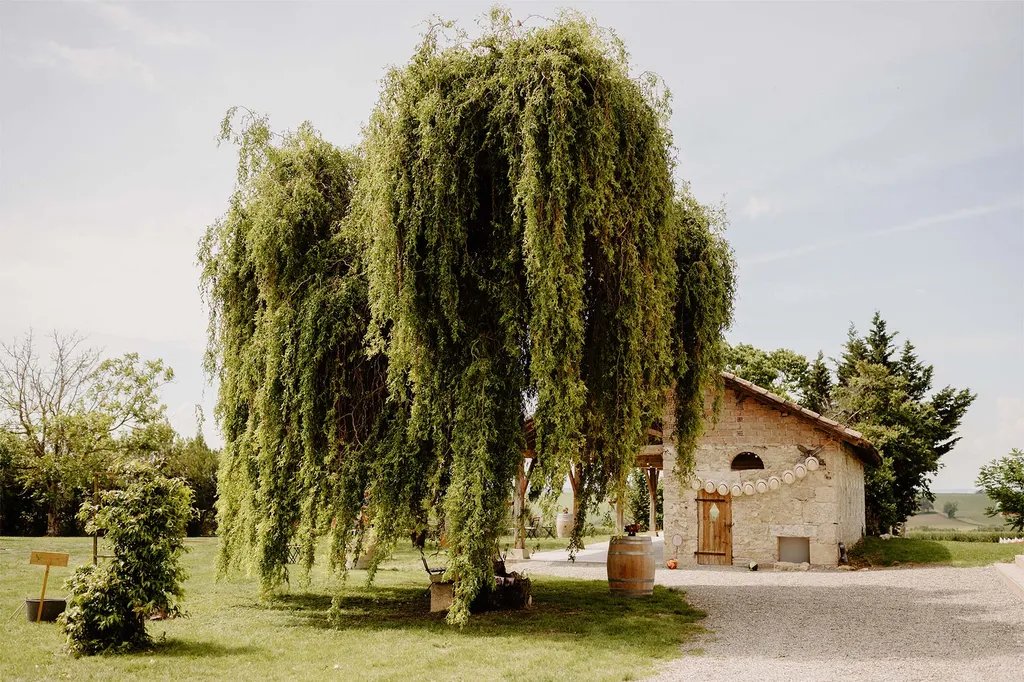 Découvrir la galerie photos du Domaine de Solomiac dans le Gers, près de Toulouse et Montauban