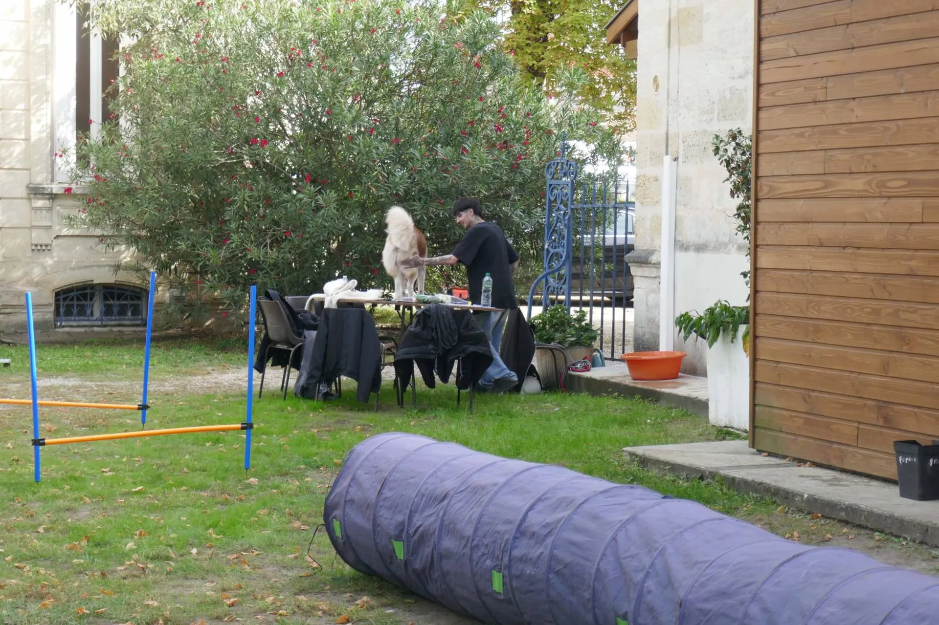 centre de pratique au métier de dresseur canin et comportementaliste en gironde et bassin d'arcachon