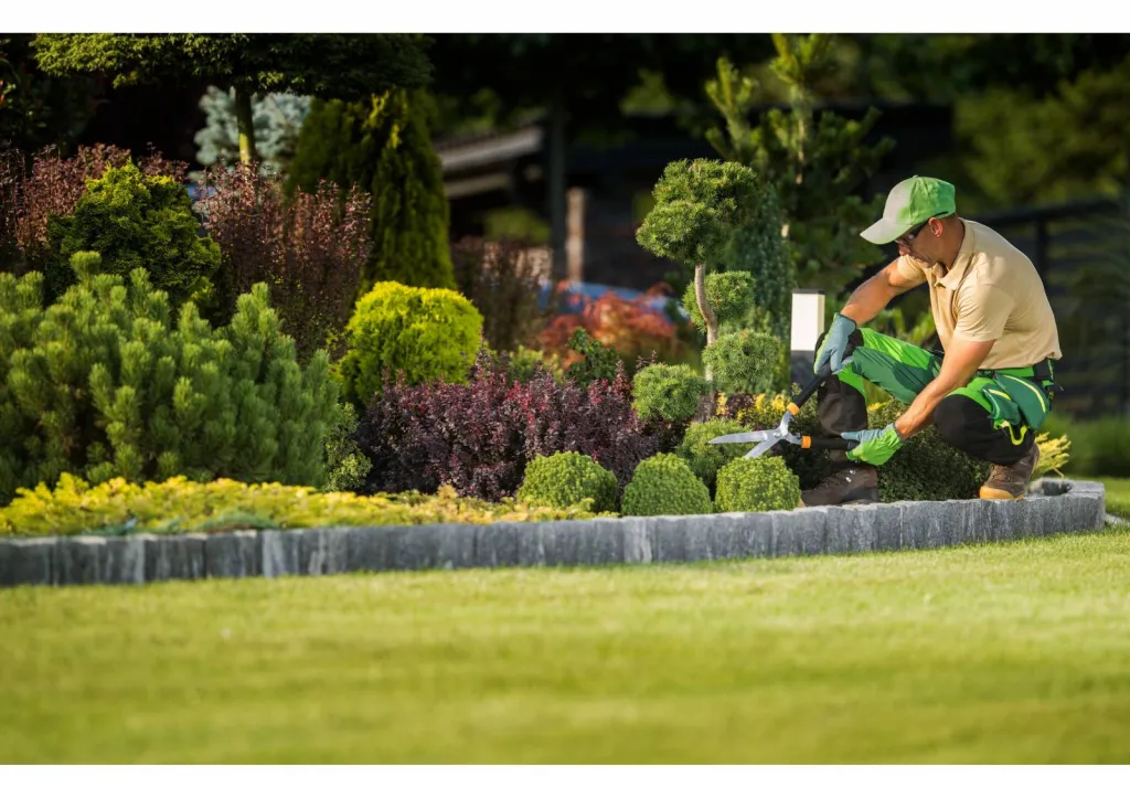 Nos prestations sur le secteur deAvignon Vaucluse