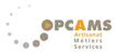 OPCA organisme paritaire collecteur agréé  OPCAMS 