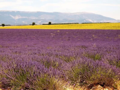Salle de réception et traiteur à la provençale dans la Drôme