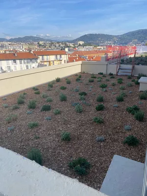 Toiture végétalisée à Nice Place Massena