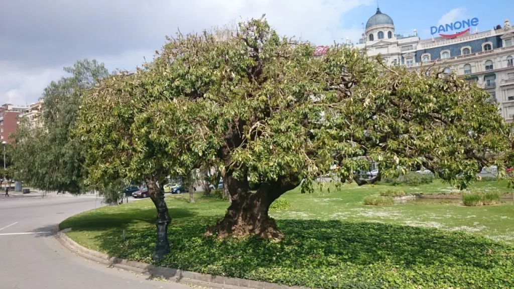 Où partir en week-end original avec AlloWeekend