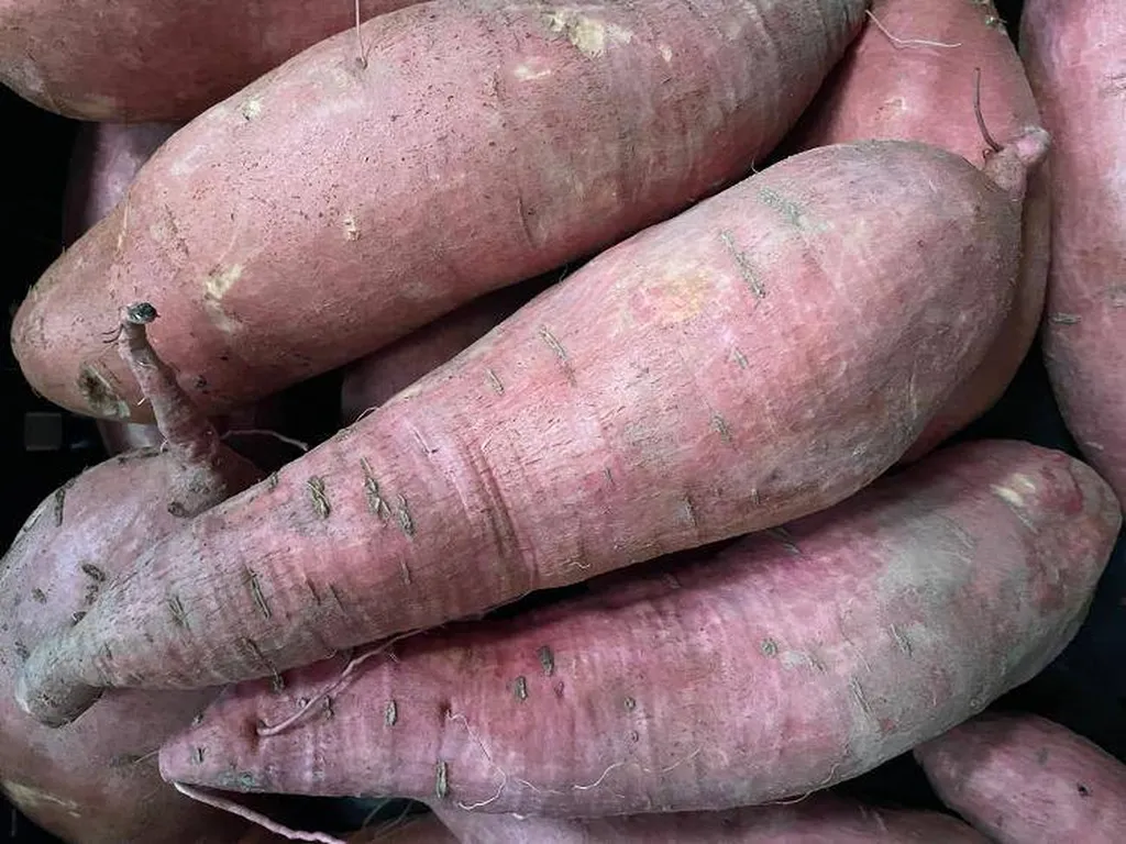 patates douces produites en Provence en livraison point relais à Marseille