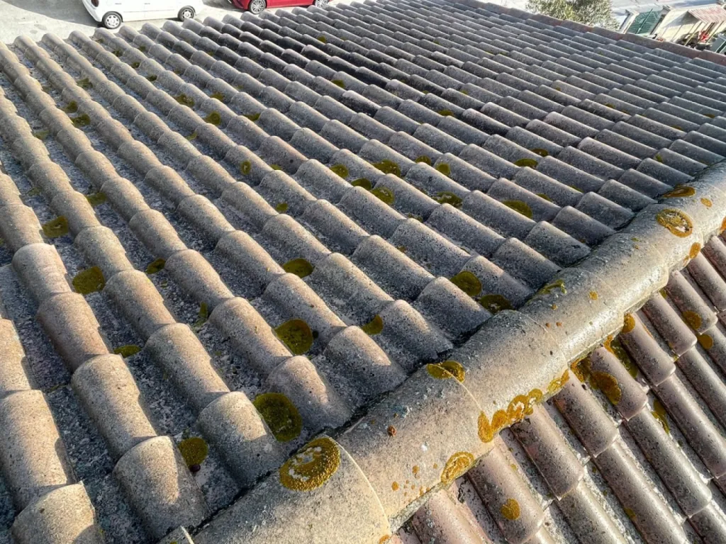 Nettoyage et traitement des tuiles mécaniques d’une toiture de maison sur Martigues