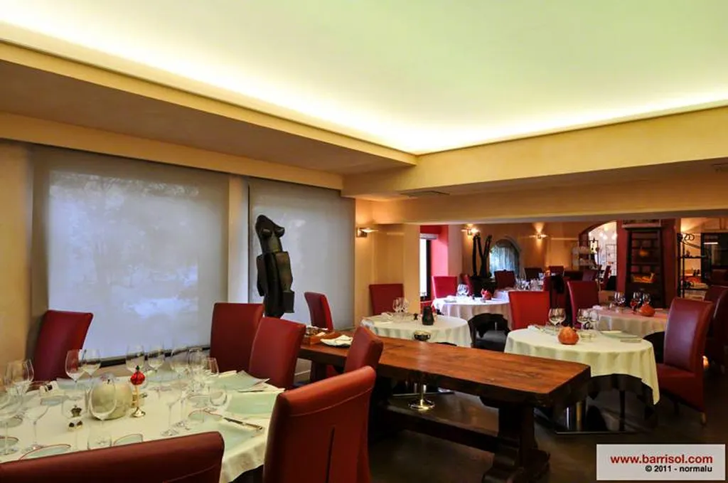 Artisan pour création de faux plafonds ou rénovation de plafond pour restaurant sur Toulouse