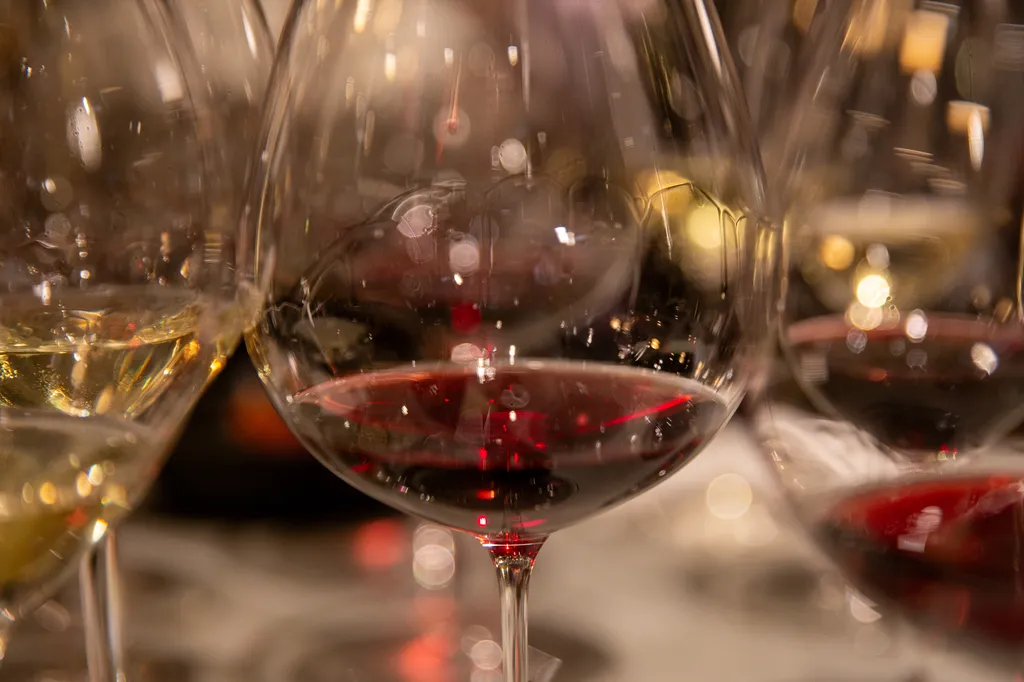 La cave à vin des amateurs comme des connaisseurs, pour partager un moment entre amis