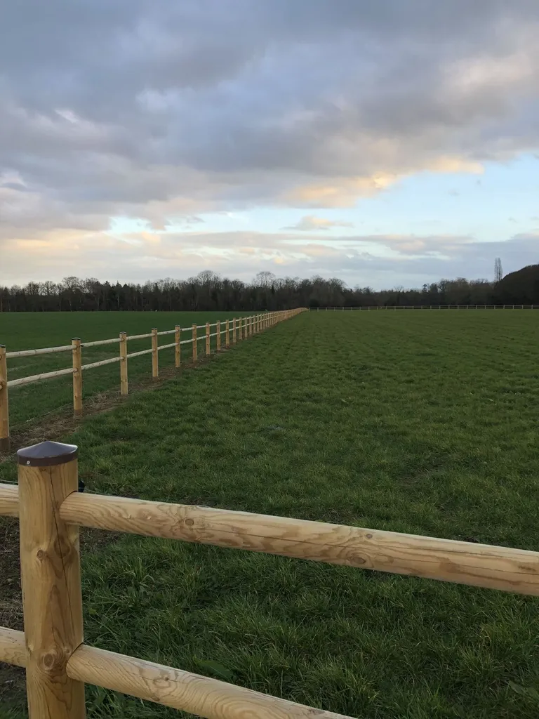 Pose de Clôtures de délimitation en bois, Ganivelles de Protection et Grillages sur Poteaux à Pont l'Évêque dans le Calvados 14 et ses Alentours
