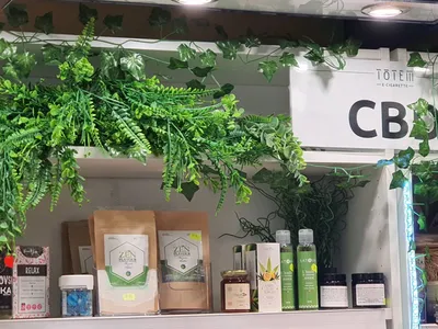 Acheter des confiseries à base de CBD à Plaisance du Touch