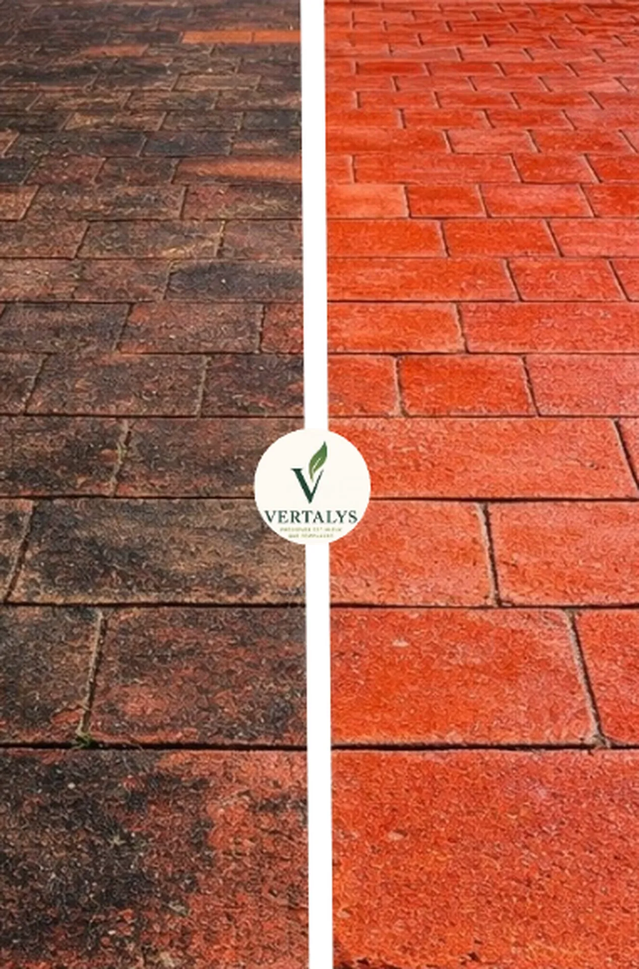 Nettoyage de toiture, façade et terrasse avec des produits éco-responsable et nettoyage vapeur basse pression à Toulouse, Albi et Montauban