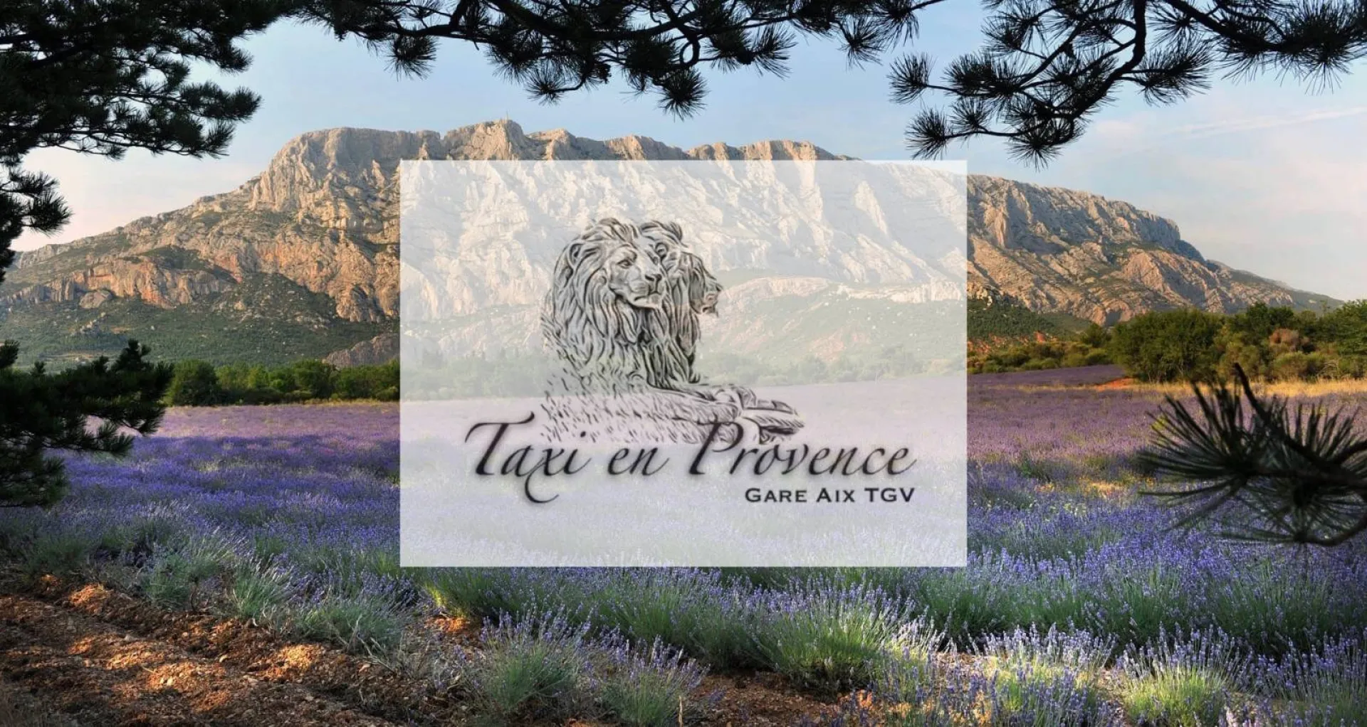 Taxi Puyricard VSL conventionné CPAM