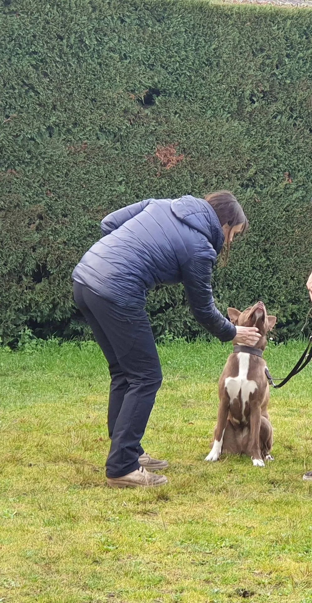 chien felicité en positif bordeaux bassin 