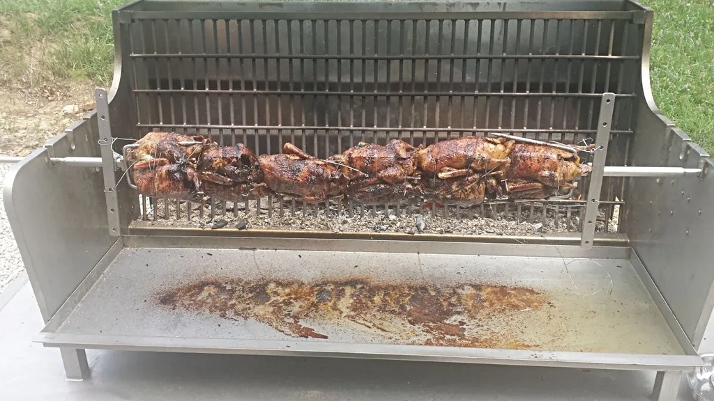 Tourne broche de canard sauvage