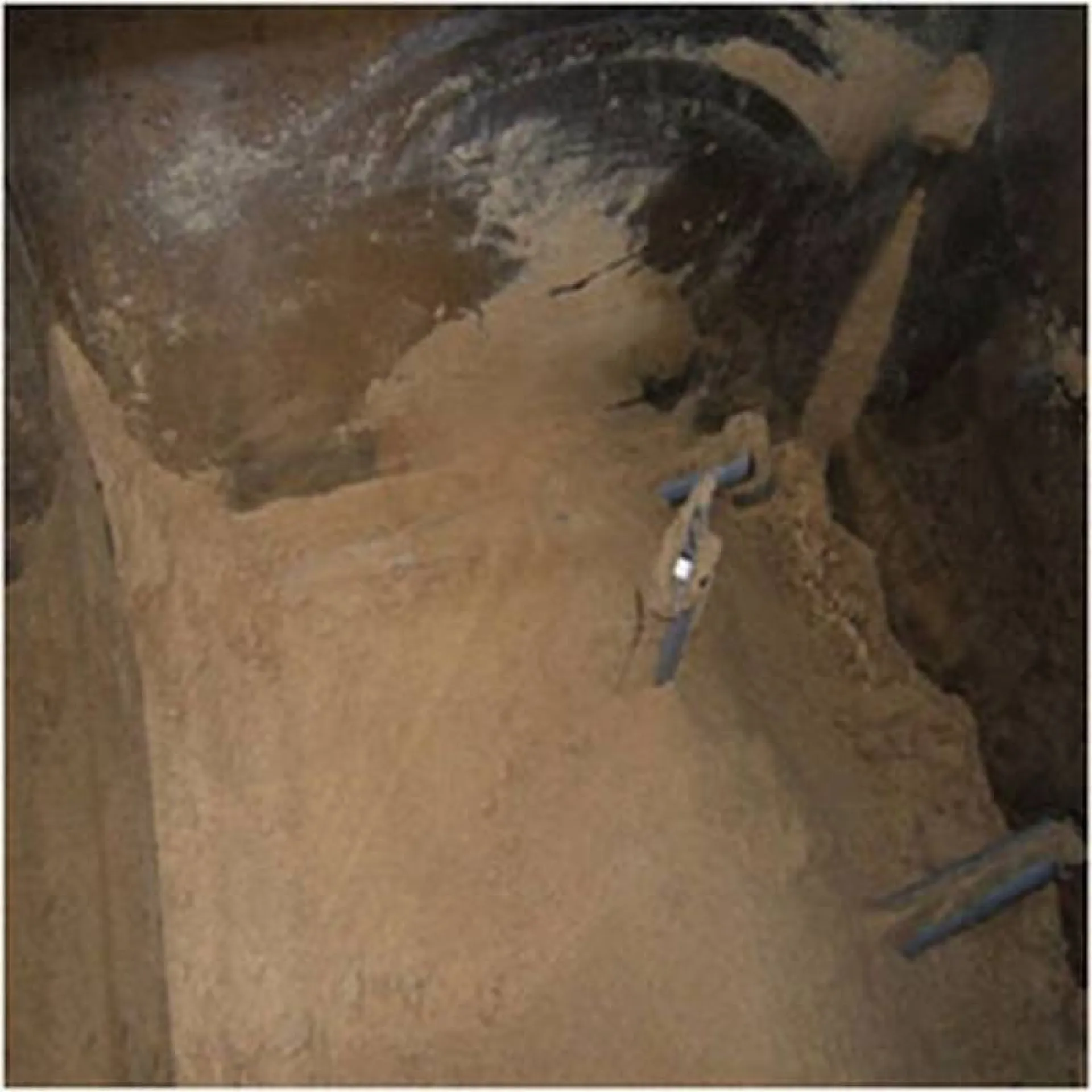 Les déchets alimentaires organiques sont composter grace à l'eco-digesteur