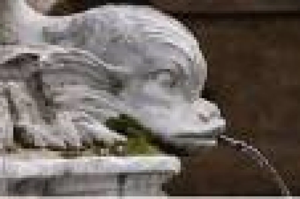 Hotel centre ville aix en provence acceptant les animaux