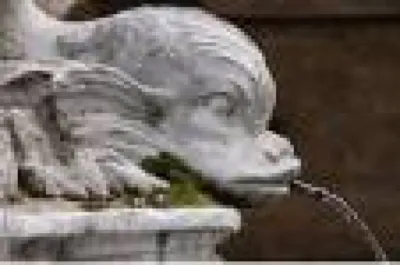 Hotel centre ville aix en provence acceptant les animaux