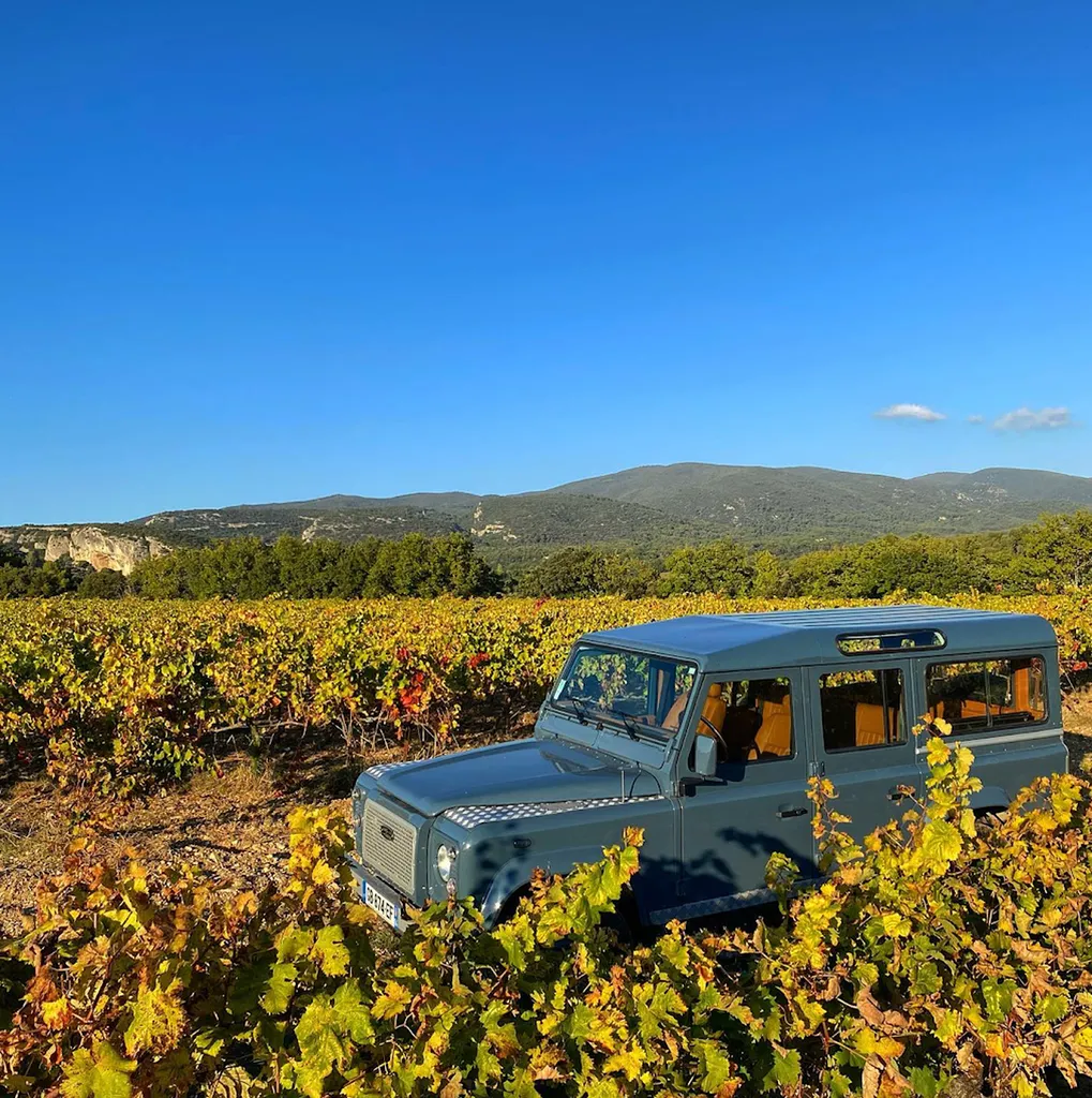 Dégustation de vin au Chateau Fontvert
