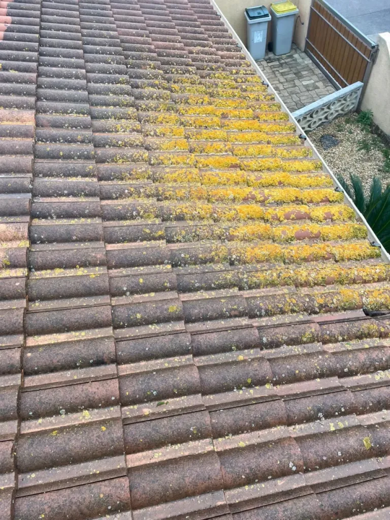 Avant intervention d'un démoussage et hydrofuge sur une toiture en tuile béton Redland à Capbreton, dans les Landes (40)
