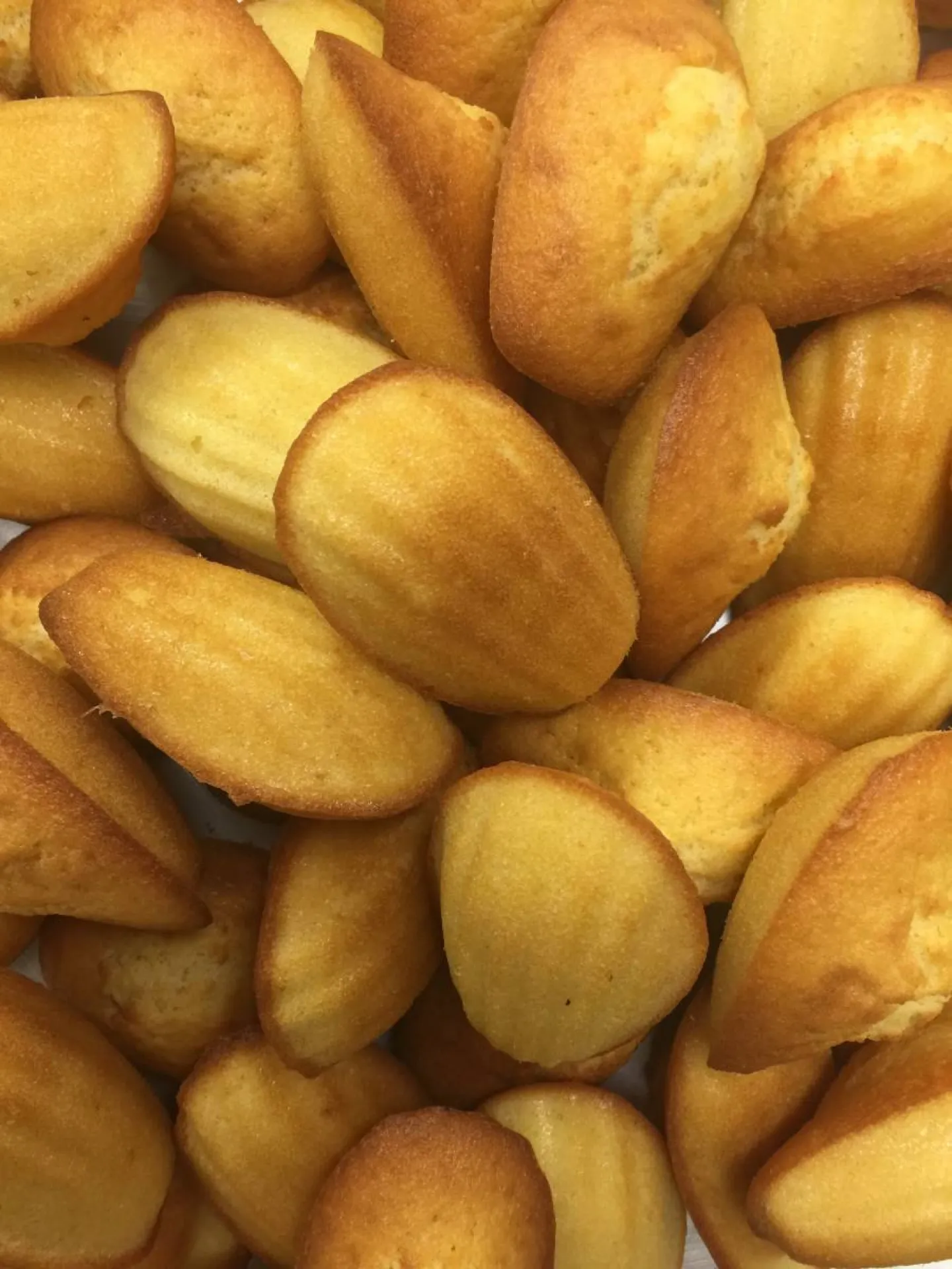 madeleines,villefranche sur saône