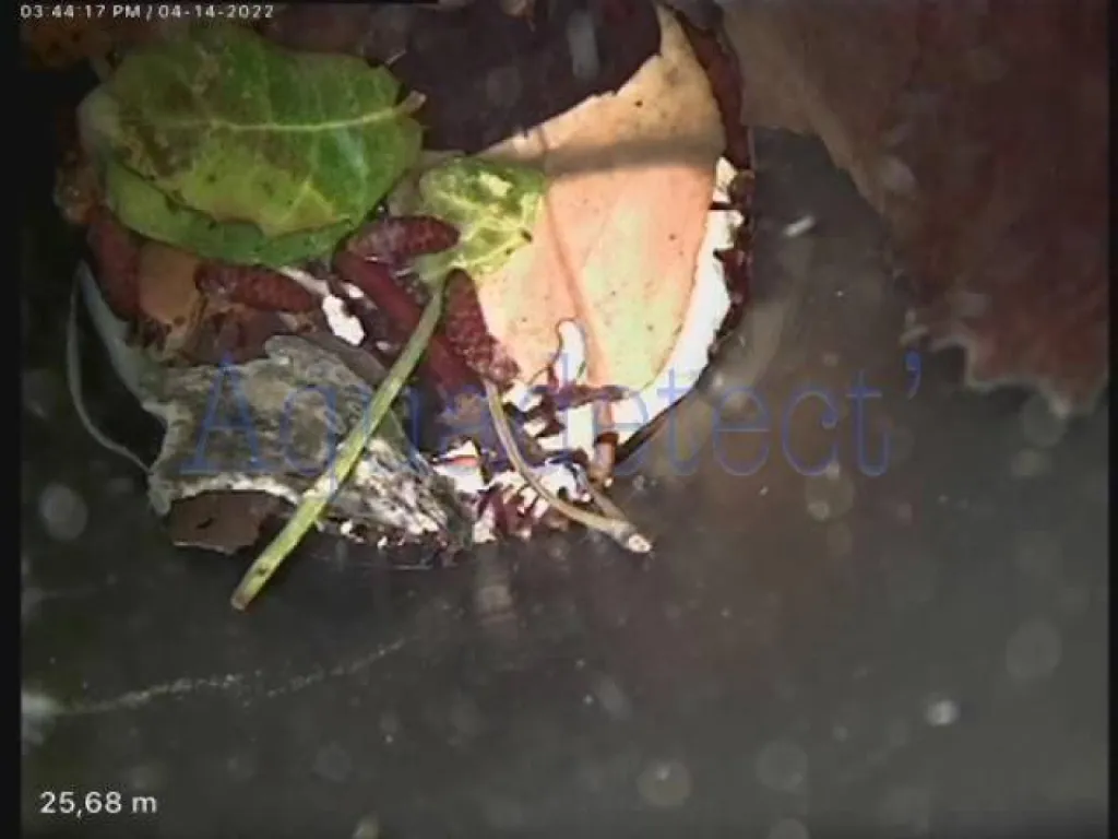 Recherche de fuite piscine avec passage caméra  à BANDOL près de TOULON