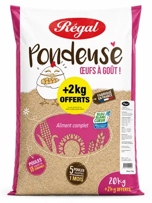 Aliment poule pondeuse en farine Régal – nutrition complète pour une ponte régulière et de qualité